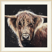 Load image into Gallery viewer, Amber