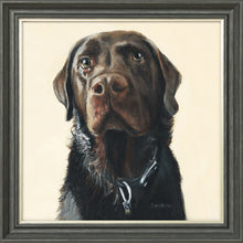 Load image into Gallery viewer, Amos