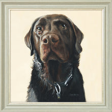 Load image into Gallery viewer, Amos