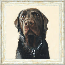 Load image into Gallery viewer, Amos