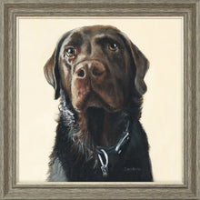 Load image into Gallery viewer, Amos