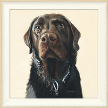 Load image into Gallery viewer, Amos