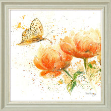 Load image into Gallery viewer, Apricot Dream