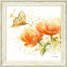 Load image into Gallery viewer, Apricot Dream