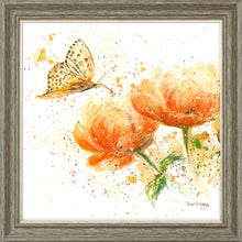 Load image into Gallery viewer, Apricot Dream