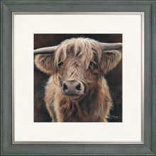 Load image into Gallery viewer, Baird