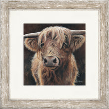 Load image into Gallery viewer, Baird