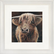 Load image into Gallery viewer, Baird