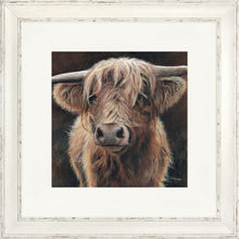 Load image into Gallery viewer, Baird