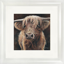 Load image into Gallery viewer, Baird