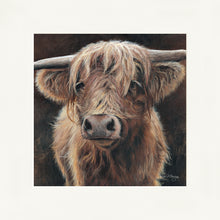 Load image into Gallery viewer, Baird