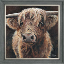 Load image into Gallery viewer, Baird