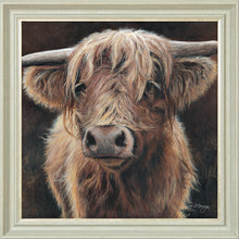 Load image into Gallery viewer, Baird