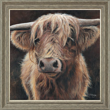 Load image into Gallery viewer, Baird