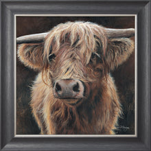 Load image into Gallery viewer, Baird