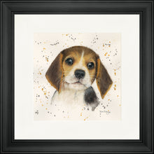 Load image into Gallery viewer, Barnaby