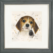 Load image into Gallery viewer, Barnaby