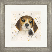Load image into Gallery viewer, Barnaby
