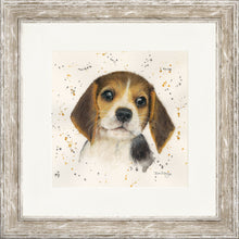 Load image into Gallery viewer, Barnaby