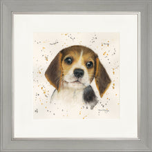Load image into Gallery viewer, Barnaby