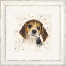 Load image into Gallery viewer, Barnaby