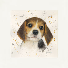 Load image into Gallery viewer, Barnaby