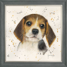 Load image into Gallery viewer, Barnaby
