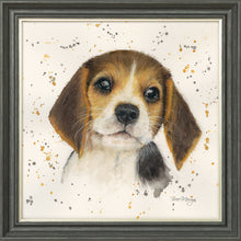 Load image into Gallery viewer, Barnaby