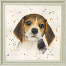 Load image into Gallery viewer, Barnaby