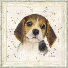 Load image into Gallery viewer, Barnaby