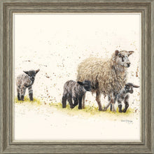 Load image into Gallery viewer, Behind Ewe