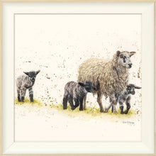 Load image into Gallery viewer, Behind Ewe