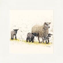 Load image into Gallery viewer, Behind Ewe