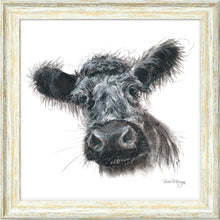 Load image into Gallery viewer, Belinda