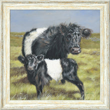 Load image into Gallery viewer, Belties