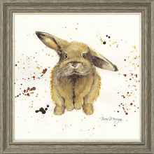 Load image into Gallery viewer, Benji