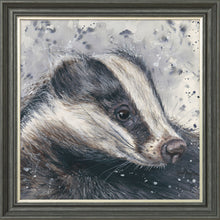 Load image into Gallery viewer, Bert