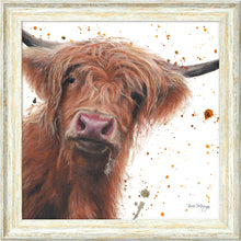 Load image into Gallery viewer, Betsy