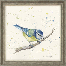 Load image into Gallery viewer, Betty