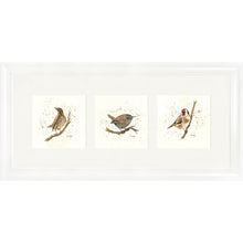 Load image into Gallery viewer, Bird Life