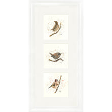 Load image into Gallery viewer, Bird Life