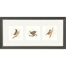 Load image into Gallery viewer, Bird Life