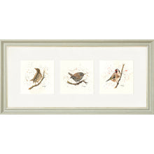 Load image into Gallery viewer, Bird Life