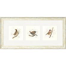 Load image into Gallery viewer, Bird Life
