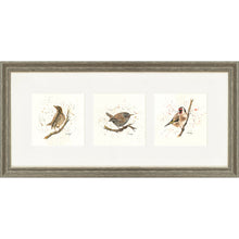 Load image into Gallery viewer, Bird Life