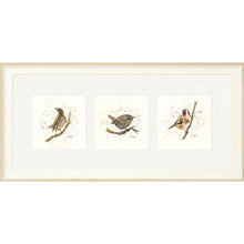 Load image into Gallery viewer, Bird Life