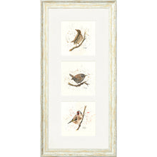 Load image into Gallery viewer, Bird Life