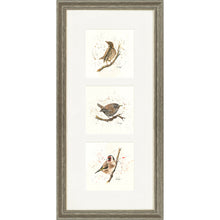 Load image into Gallery viewer, Bird Life