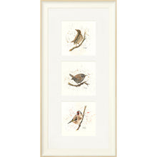 Load image into Gallery viewer, Bird Life