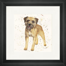 Load image into Gallery viewer, Biscuit